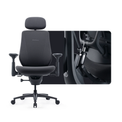LiberNovo Maxis Electric Graphite