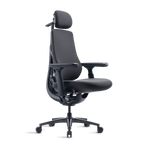 Basic Bundle Maxis Manual Graphite 52cm Chair2