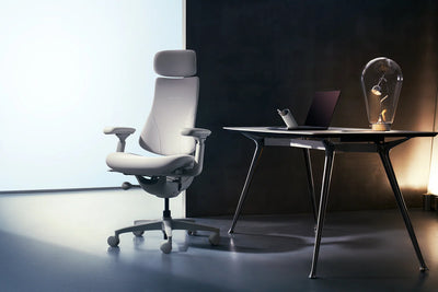 Basic Bundle Libernovo Omni Space Grey 45cm Chair4