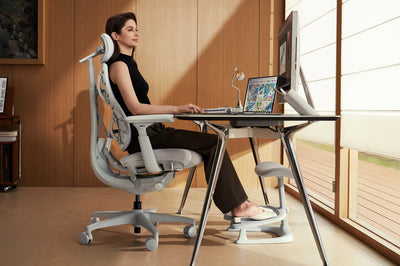 Pro Bundle Libernovo Omni Space Grey 45cm Chair4