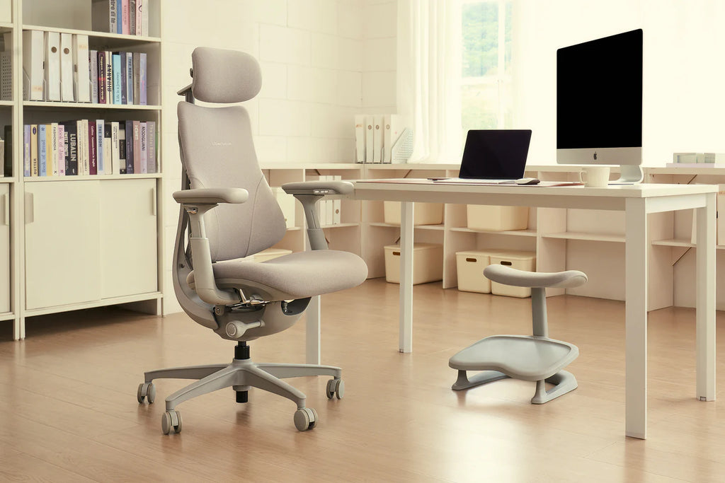 Pro Bundle Libernovo Omni Space Grey 48cm Chair4
