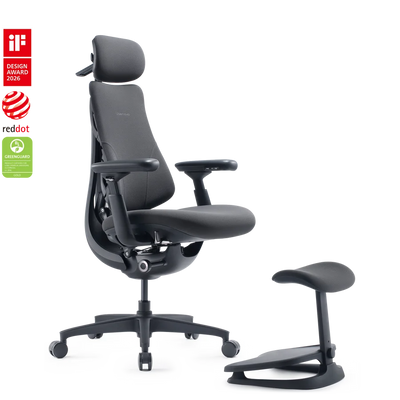 Standard Bundle Omni Gen Graphite 45cm Chair1