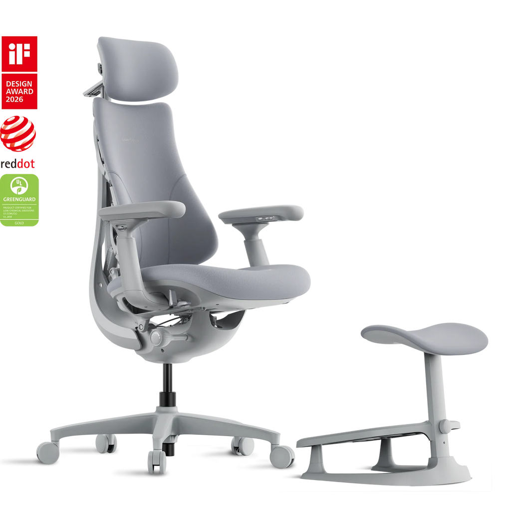 Standard Bundle Libernovo Omni Space Grey 45cm Chair1