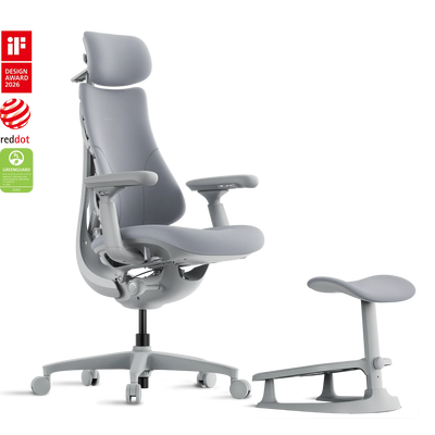 Standard Bundle Libernovo Omni Space Grey 45cm Chair1