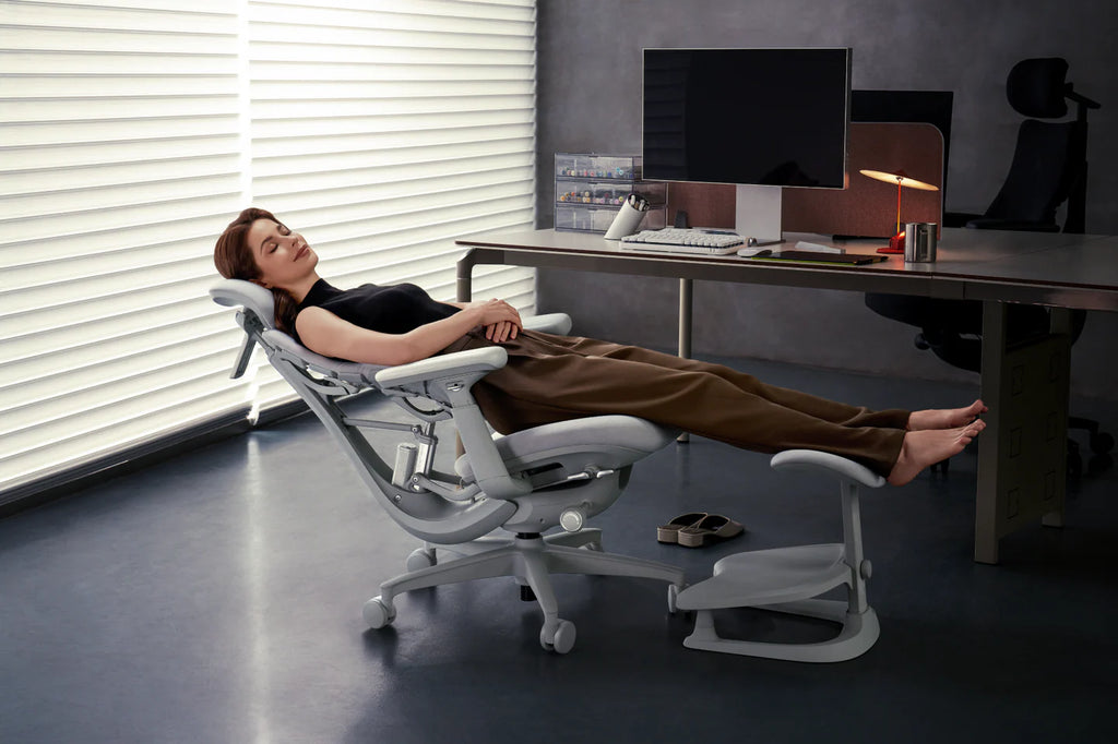 Standard Bundle Libernovo Omni Space Grey 45cm Chair4